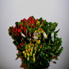 Wholesale Assorted Hypericum-nationalflowermart.com